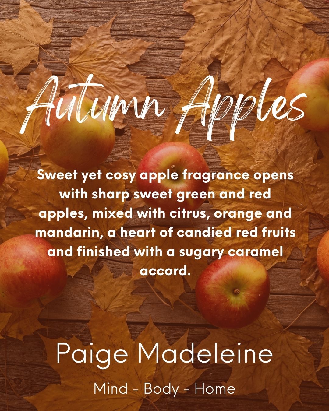 Autumn Scents Fragranced Fizzer